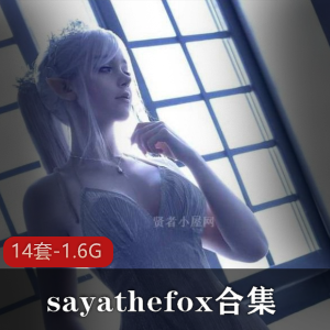 多国混血模特Sayathefox的2B合集