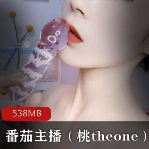 御姐主播桃theone，美腿黑丝诱惑，资源合集538MB，私人定制视频，绅士必看